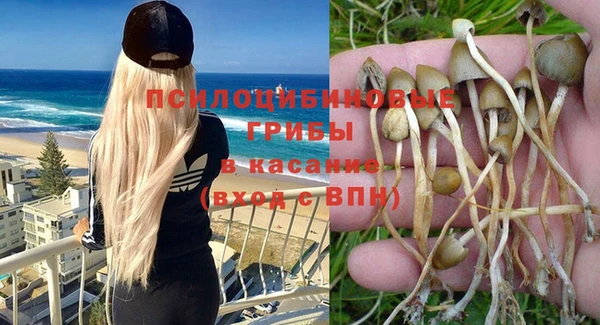 гашик Коряжма
