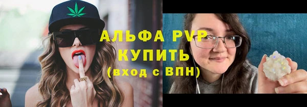 гашик Коряжма