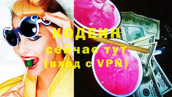 гашик Коряжма