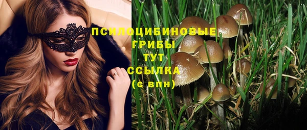 метадон Корсаков