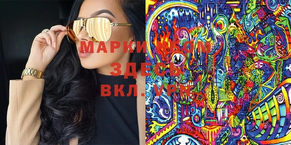 гашик Коряжма