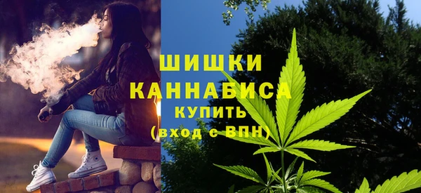 гашик Коряжма