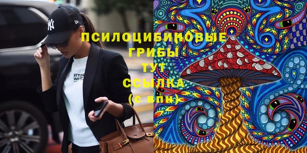 гашик Коряжма